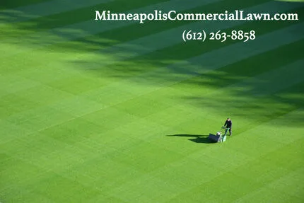 5 Reasons To Hire A Commercial Lawn Care Service