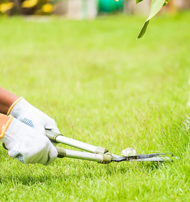 Minneapolis-Commercial-Lawn-Care-Services