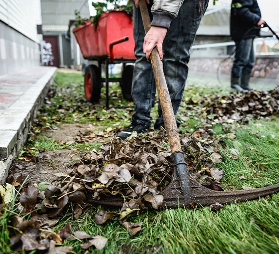 Spring-and-Fall-Cleanup
