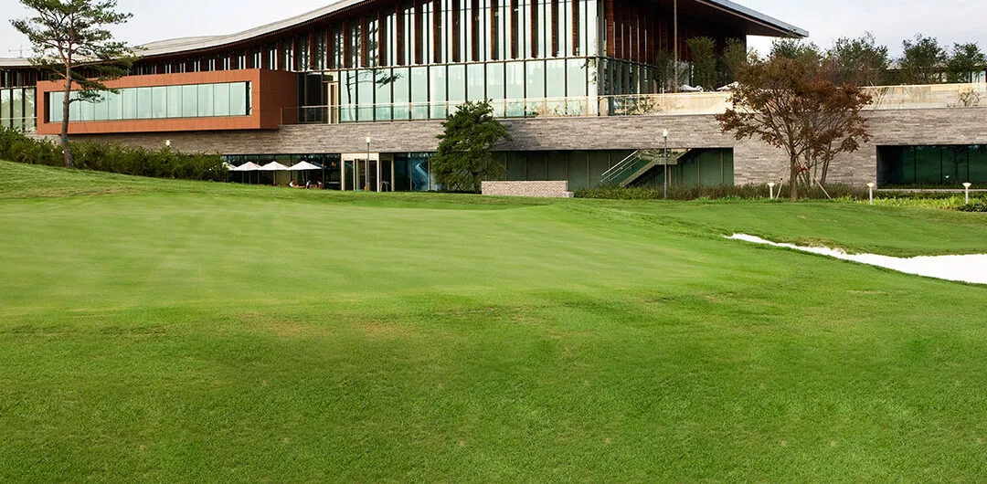 Essential Spring Maintenance For Minneapolis Commercial Lawns